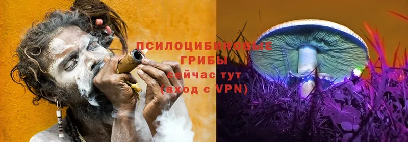 магазин продажи наркотиков  Остров  Псилоцибиновые грибы Psilocybine cubensis 